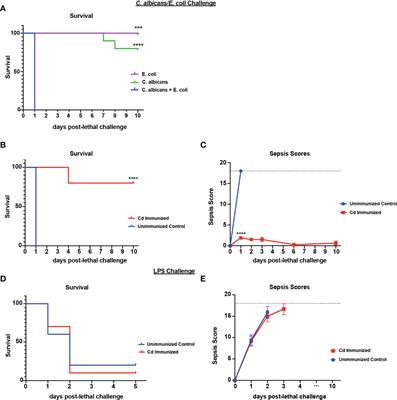 Efficacy of Candida dubliniensis and Fungal β-Glucans in Inducing Trained Innate Immune Protection Against Inducers of Sepsis